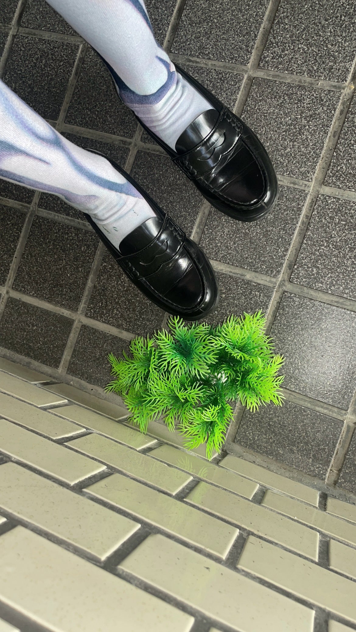 Life Sox
