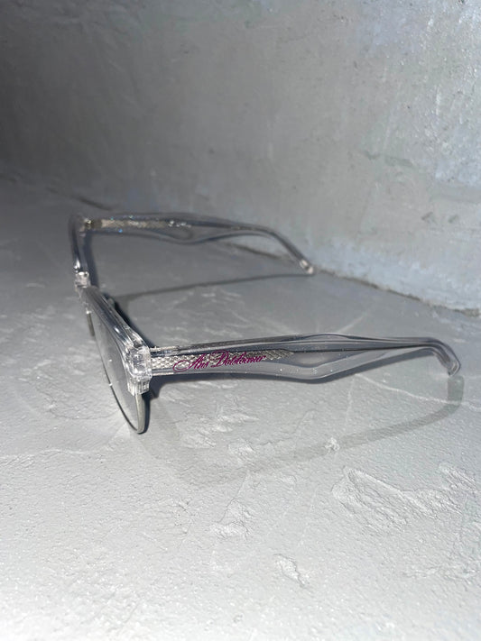 TUMLUS collaboration glassed