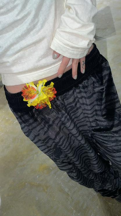 VELOUR EQUINOX PANT(JOSH SMITH)